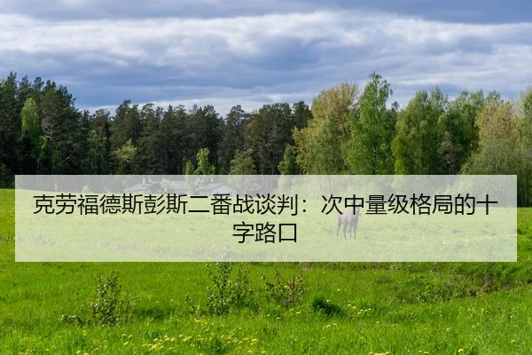 ke-lao-fu-de-si-peng-si-er-fan-zhan-tan-pan-ci-zhong-liang-ji-ge-ju-de-shi-zi-lu-kou-2-103.jpg